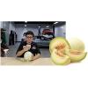 imageChemical Guys AIR22004 Honeydew Premium Air Freshener and Odor Eliminator Great for Cars Trucks SUVs RVs ampamp More Honeydew Scent 4 fl oz