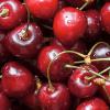 imageChemical Guys AIR22804 Air Freshener ampamp Odor Eliminator Fresh Cherry Blast Premium 4 fl OzMulticolor