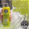 imageChemical Guys EQP310 TORQ Professional Foam Cannon Max Foam 8 Great for Cars Trucks SUVs Motorcycles RVs ampamp More 32 oz BottleEQP313