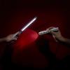 imageChemical Guys EQP401 Ultra Bright Rechargeable Detailing Inspection Dual LightStandard