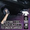 imageChemical Guys TVD1041602 Bare Bones Premium Dark Shine Spray for Undercarriage Tires and Trim Safe for Cars Trucks Motorcycles RVs ampamp More16 fl oz 2 Pack16 oz