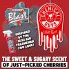 imageChemical Guys Fresh Cherry Blast Air Freshener and Odor Eliminator 16 fl oz with 3 Pack of Hanging Air Fresheners Great for Cars Trucks SUVs RVs Home Office Dorm Room ampamp MoreFresh Cherry